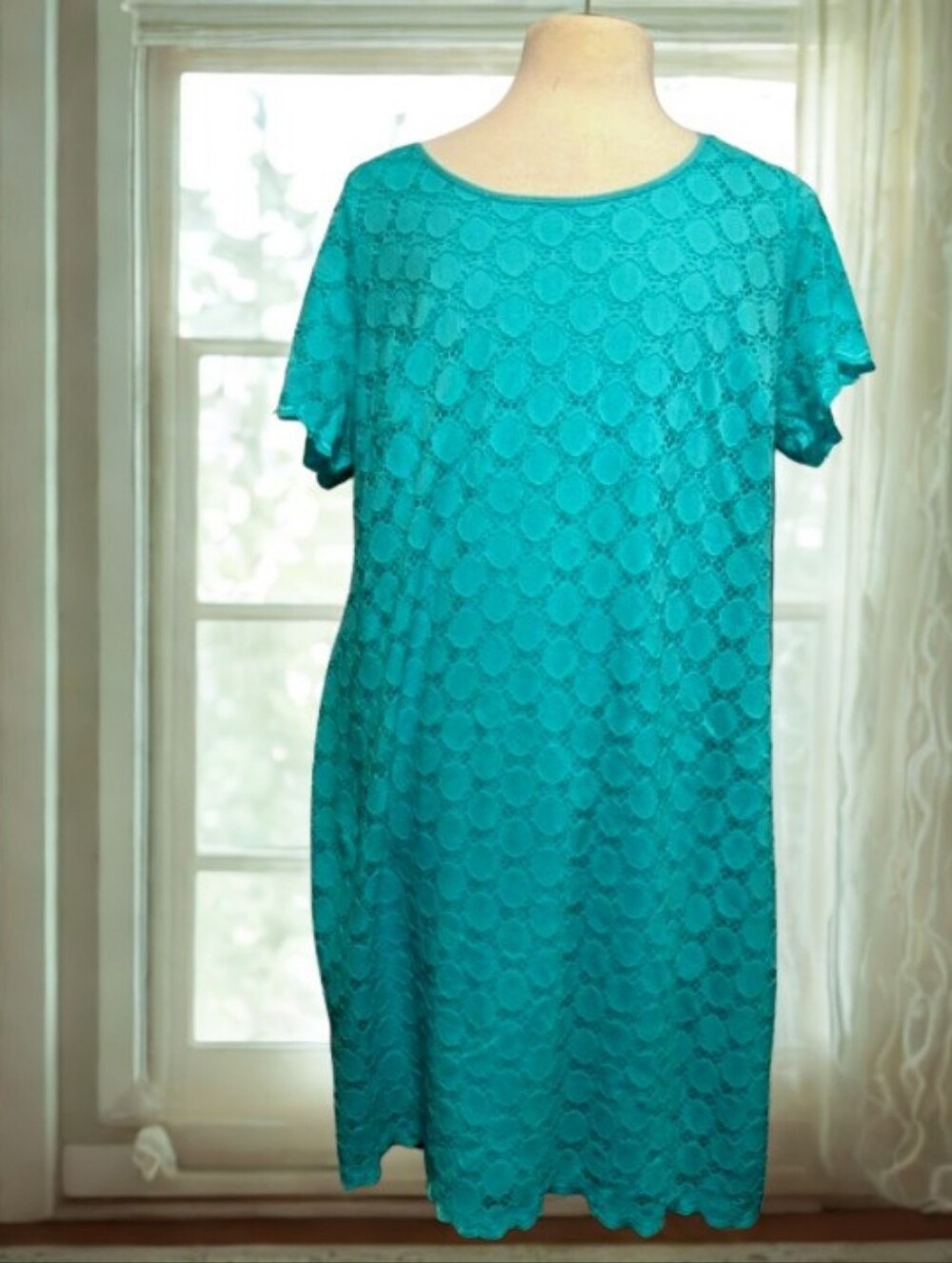 Women’s Ronni Nicole Dress Sz 2XL